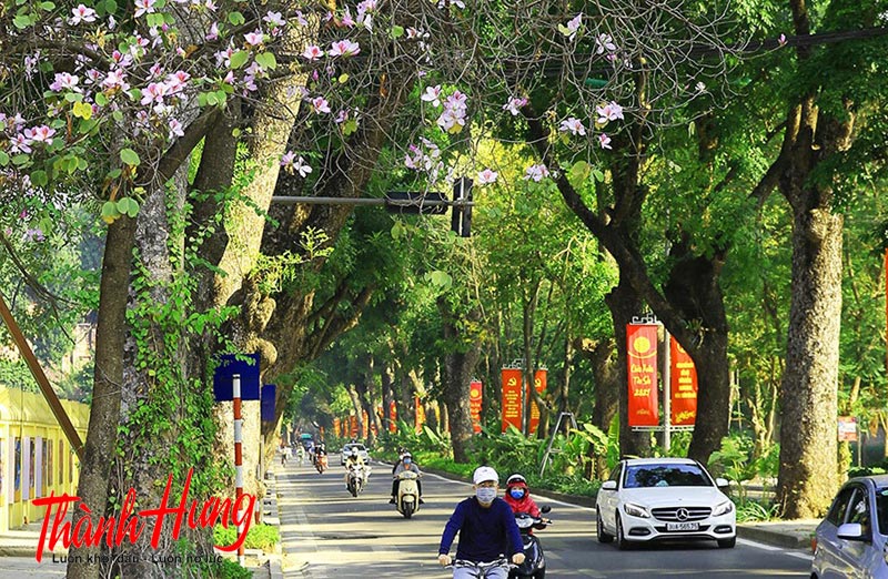 Thời điểm tháng 3 rất thích hợp để chuyển văn phòng Thời điểm tháng 3 rất thích hợp để chuyển văn phòng