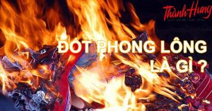 Theo Hán Việt, cụm từ "phong lông" có nghĩa là gió rồng.