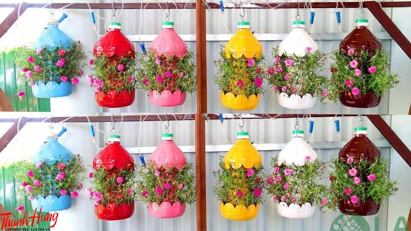 Tái chế chai nhựa trồng cây.