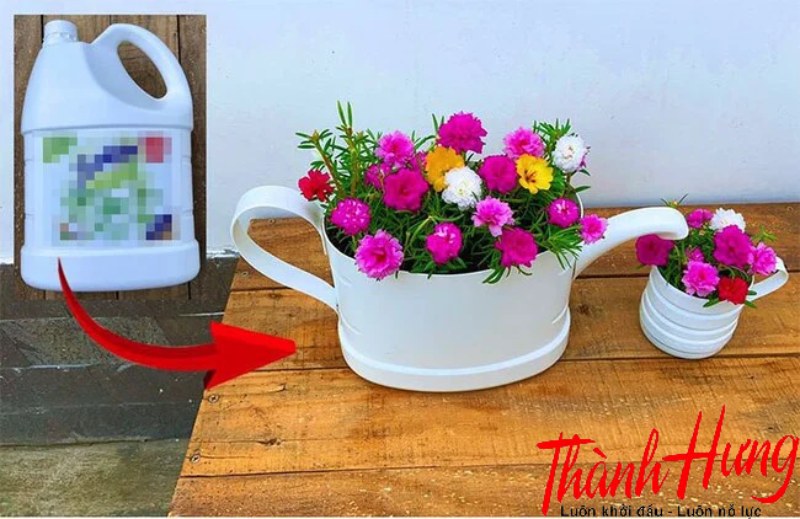 Tái chế chai nhựa thành chậu hoa.